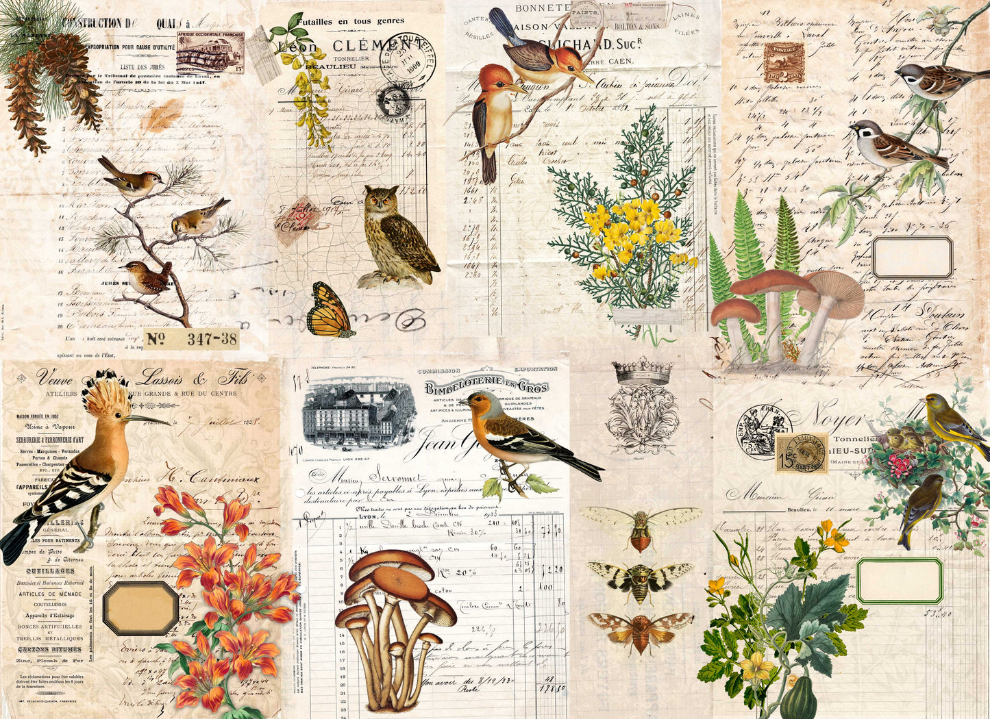 Fall Botanical (RT)