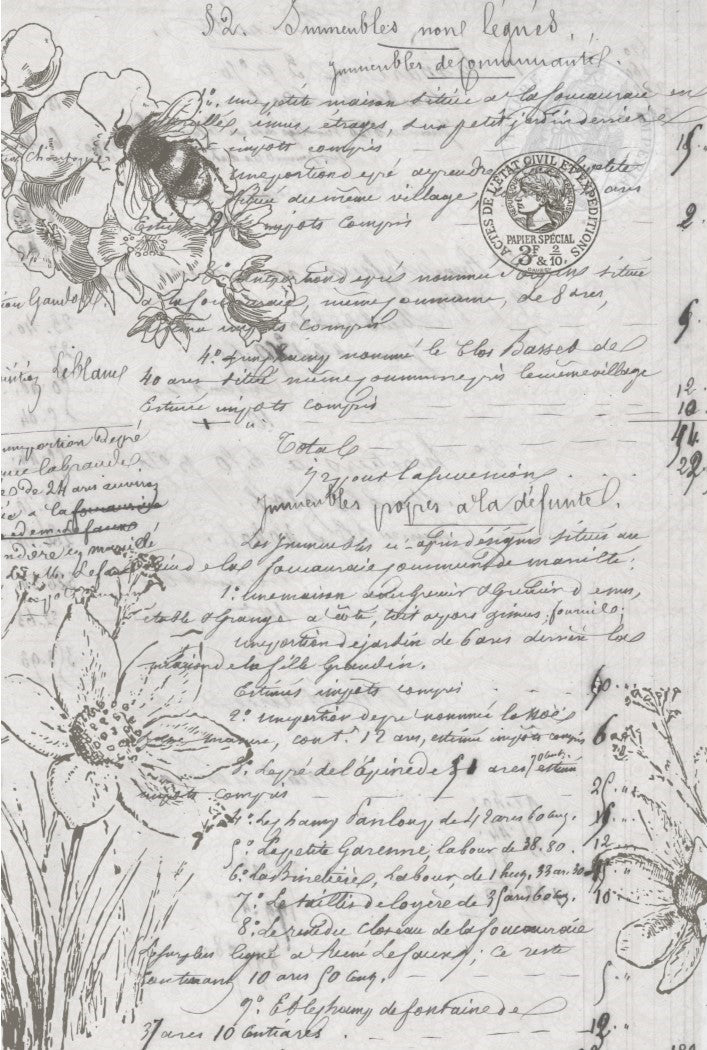 Natural History Retail