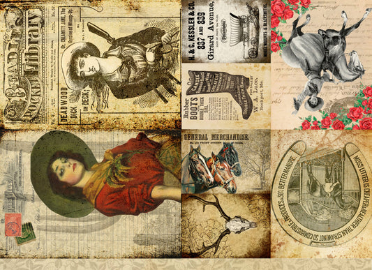 Cowgirl Project Blocks Retail