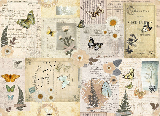 Pressed Flowers Masterboard Retail