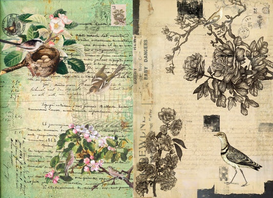 Botanical Blocks (RT)