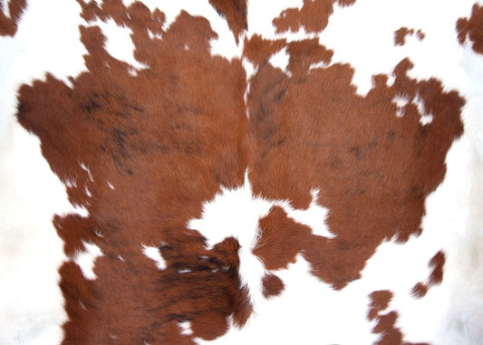 Cowhide Retail