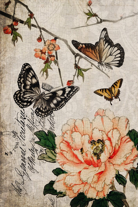 Butterfly Floral Roycycled Decoupage Paper Retail