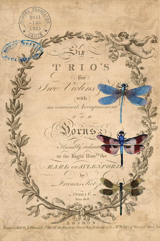 142_Dragonflies Decoupage Paper