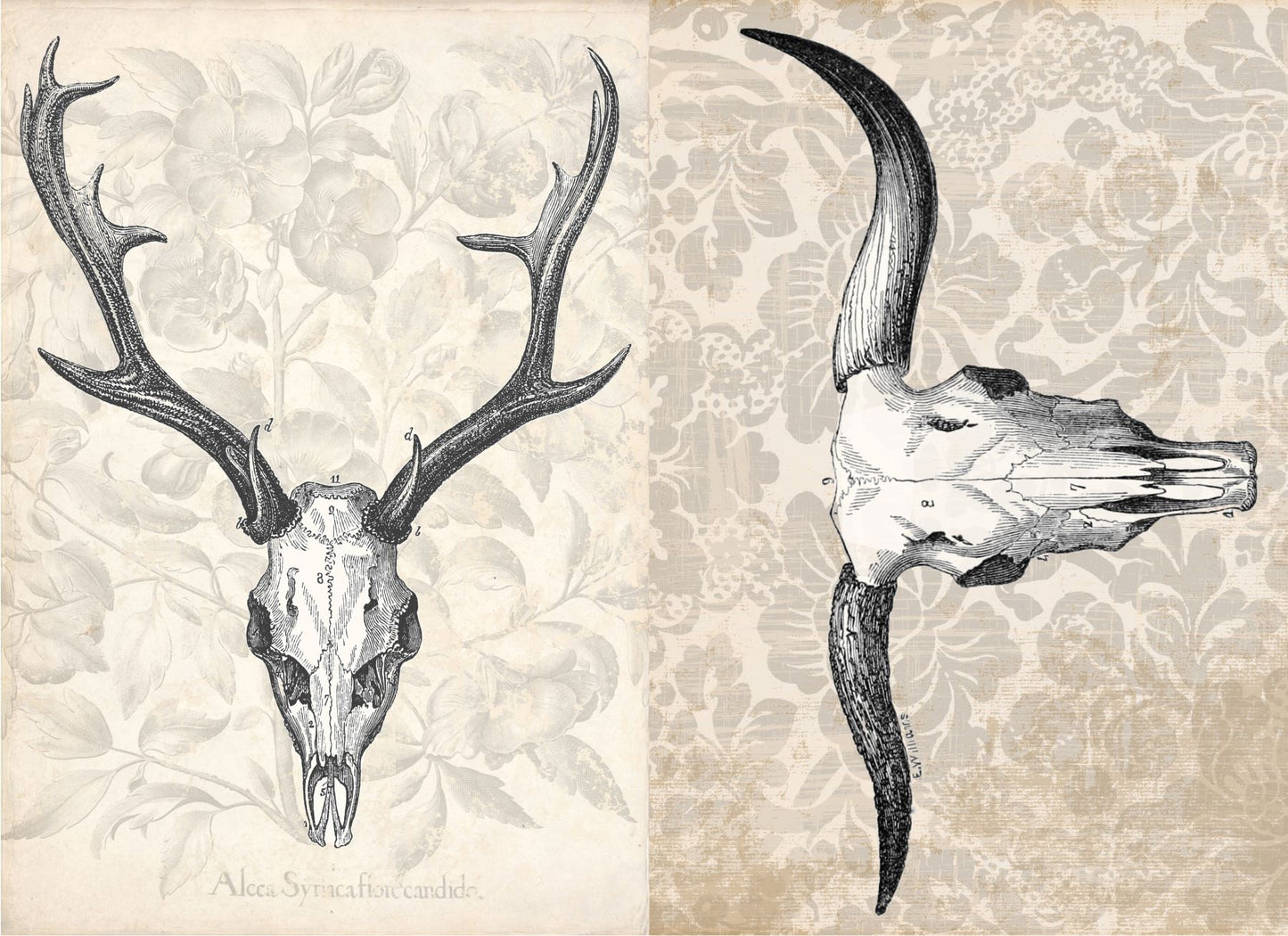 Antler Project Block Retail